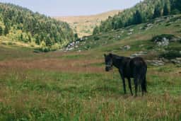 Humedal del lago Skadar y paisaje de montaña cerca de Virpazar