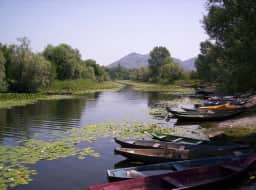 Lake and marsh landscape surrounding Žabljak Crnojevića