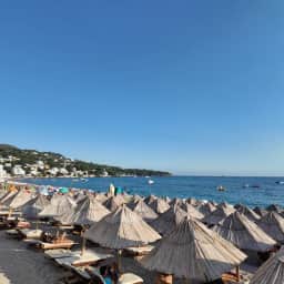 Rows of thatched straw parasols standing over sun loungers on the sand.