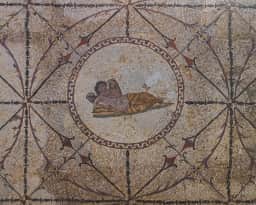 Geometric Roman mosaic floors of the Villa Urbana in Risan, preserved under a protective shelter and viewed from the visitor walkway.