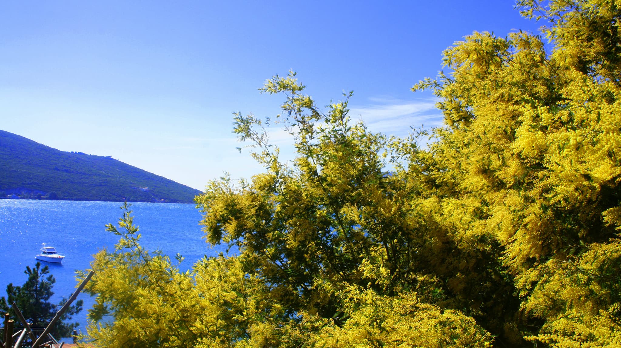 Una festa che celebra i fiori
