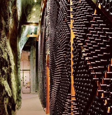 Weinroute durch „Plantaze“