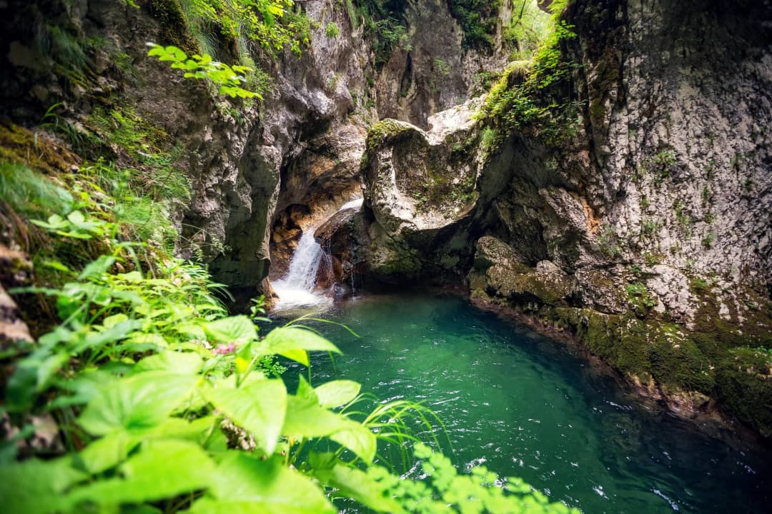 Narrow green canyon with a clear pool and waterfall between mossy rock walls