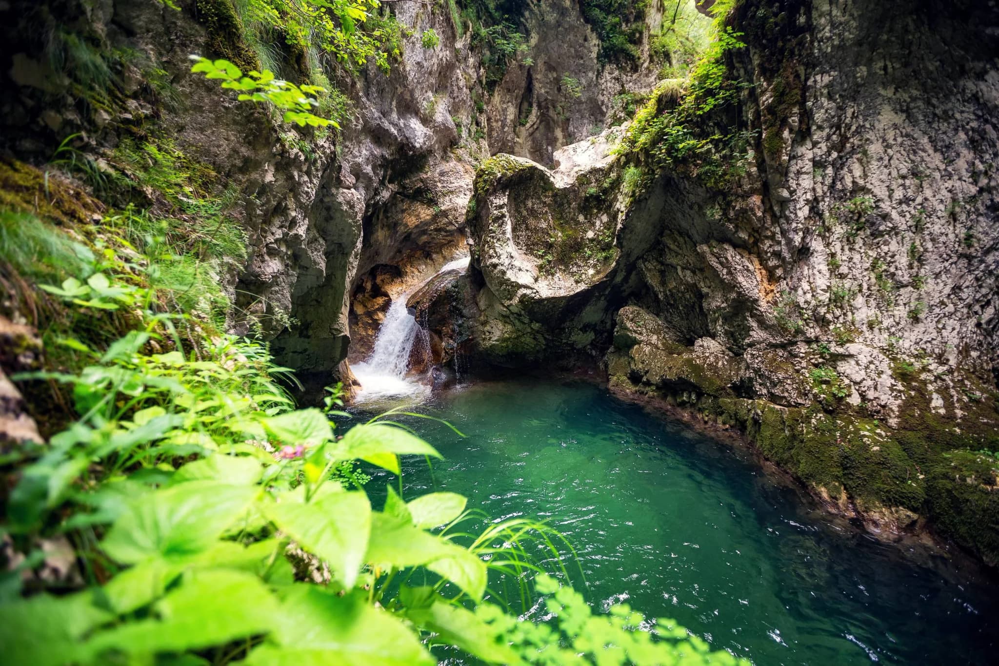 Montenegro Canyoning Safety: Routes, Guides and Risks