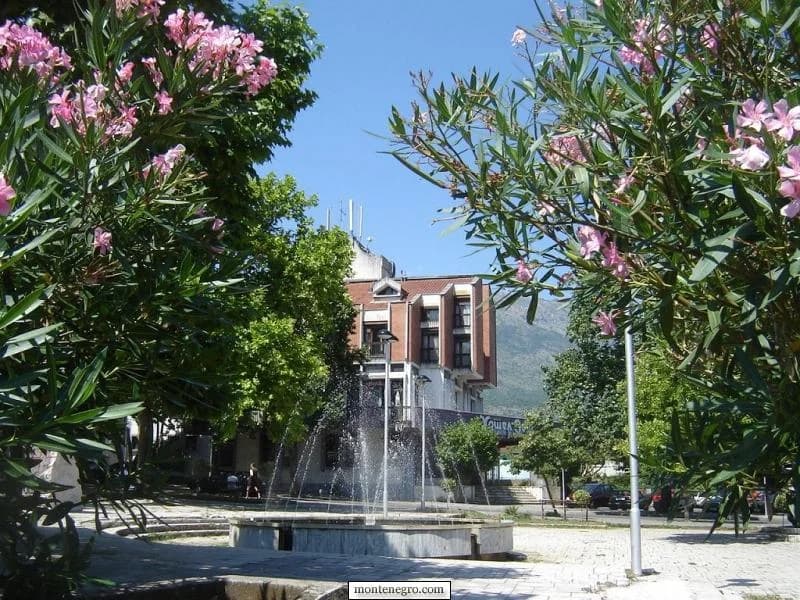 Danilovgrad: Planned Town, Zeta River and Living Heritage