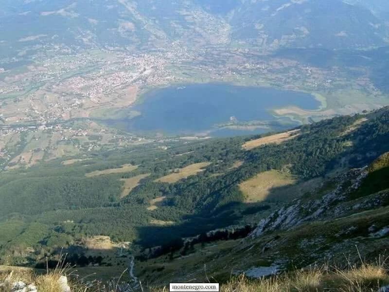 Trska i otvorena voda uz obalu Plavskog jezera