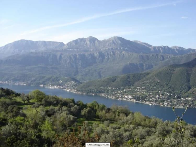 Veduta delle Bocche tra i pendii coperti di ulivi vicino a Kumbor