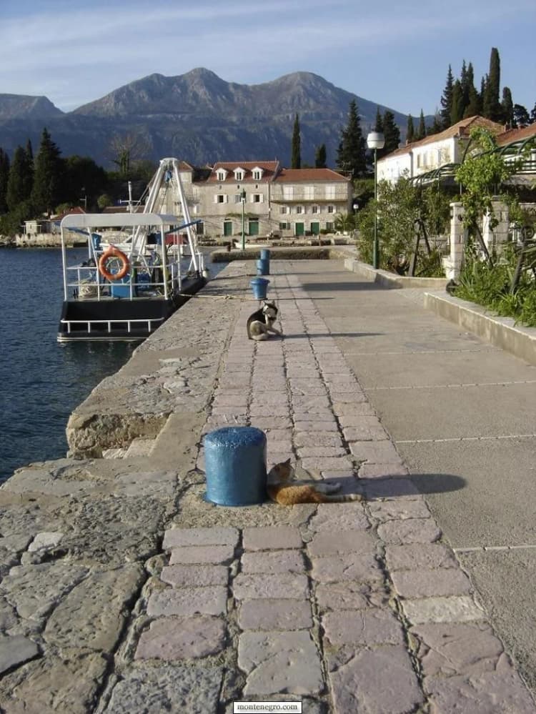Obalna šetnica u Rosu s putničkim brodom uz obalu