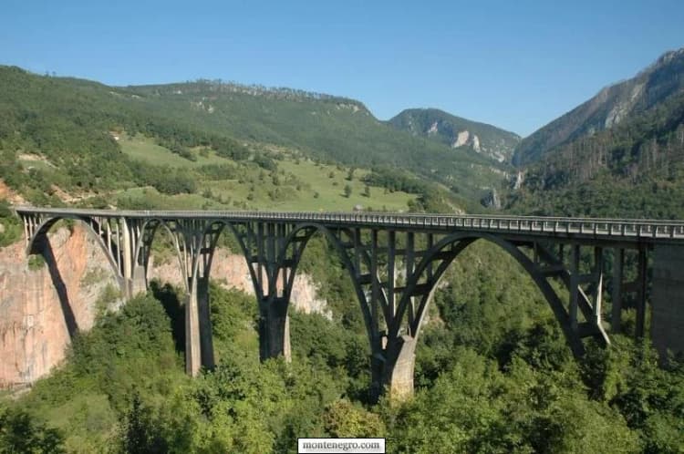 Đurđevića Tara Bridge spanning a wooded canyon