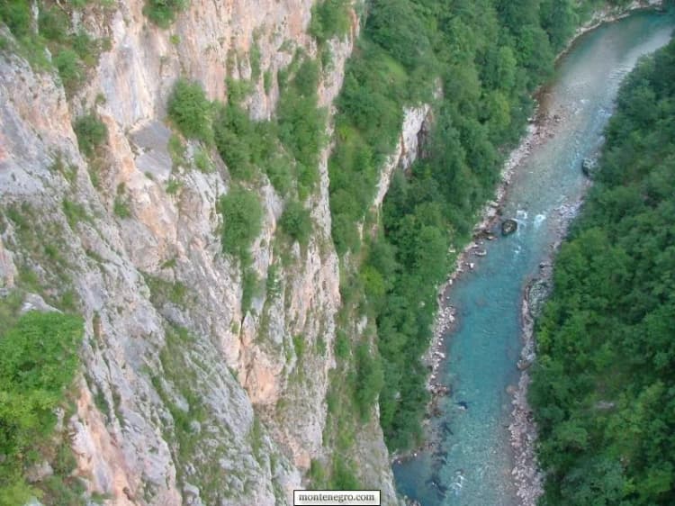 Le acque color smeraldo della Tara sotto le ripide pareti boscose del canyon