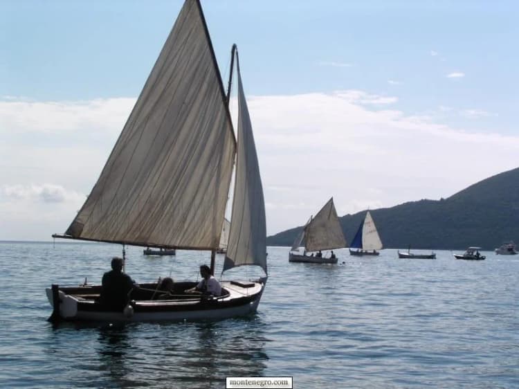 Classic boat near the centre of the 2004 Stara Brokva course