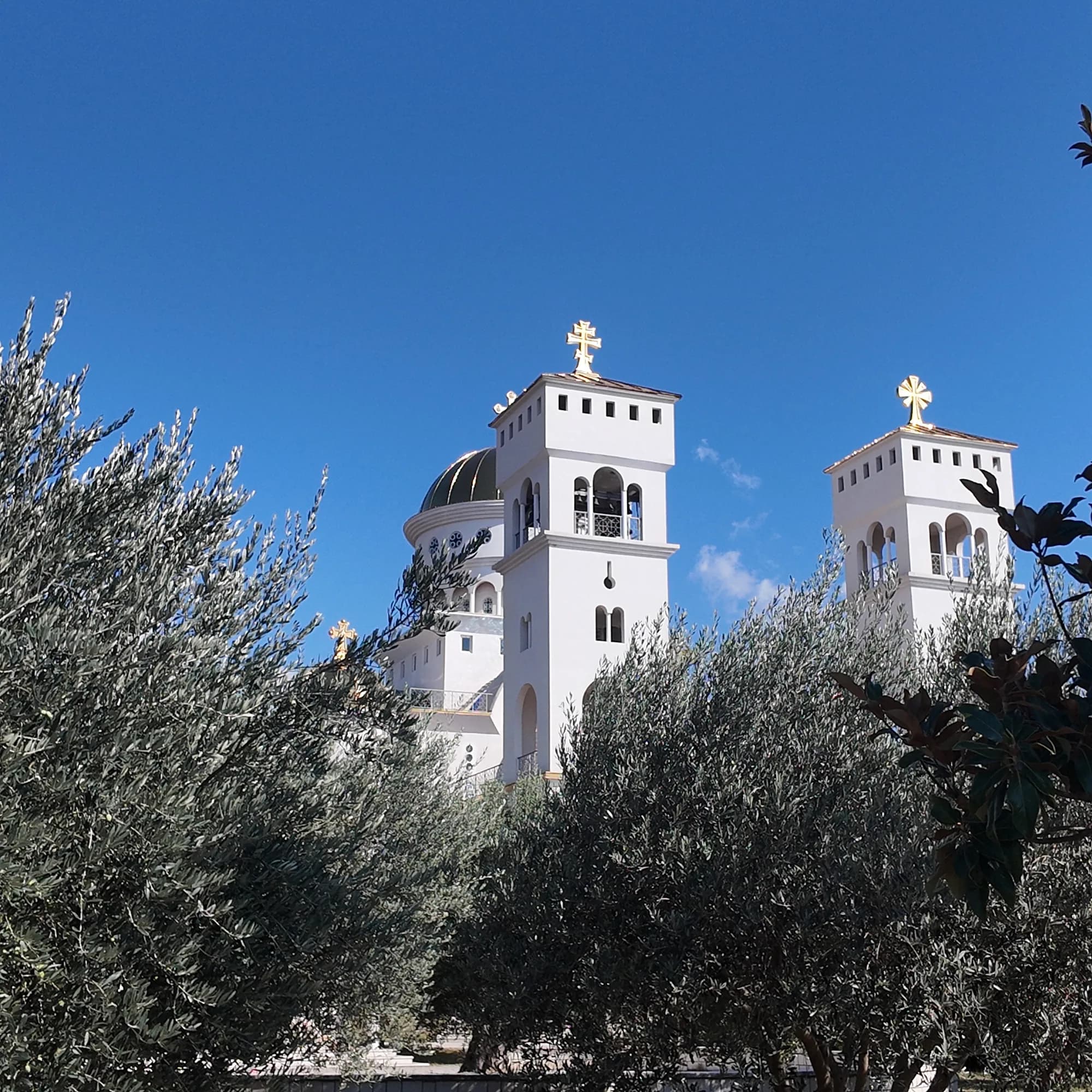 The cathedral's bell towers rising through the olive trees of its grove