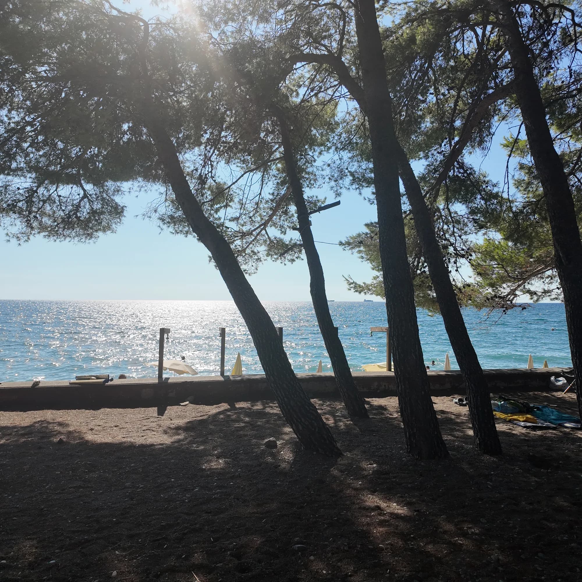 Žukotrlica: barska šljunkovita plaža u hladu borova i obala užara