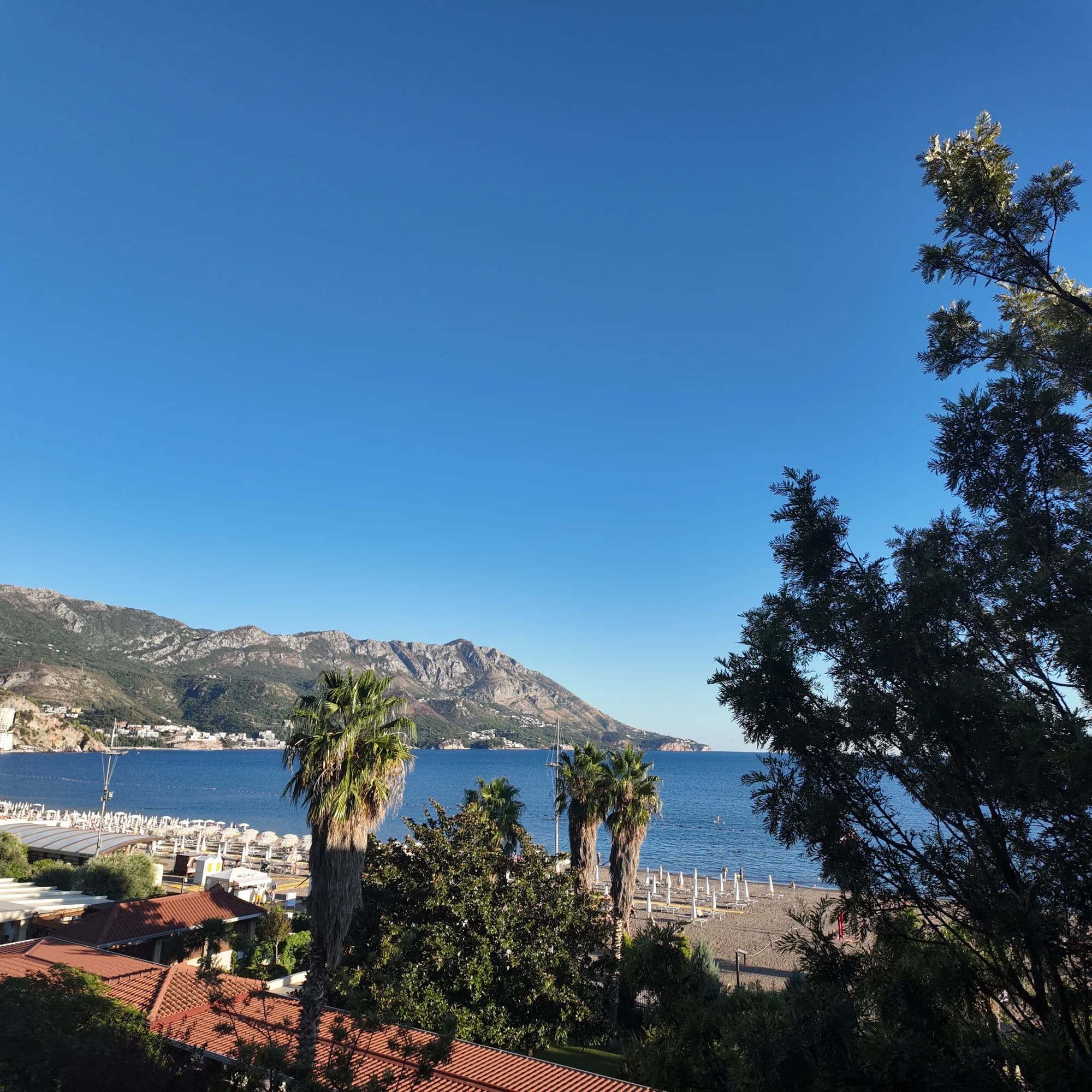 Bečići bay over hotel roofs and palms, the sand curving east towards Rafailovići under the mountains
