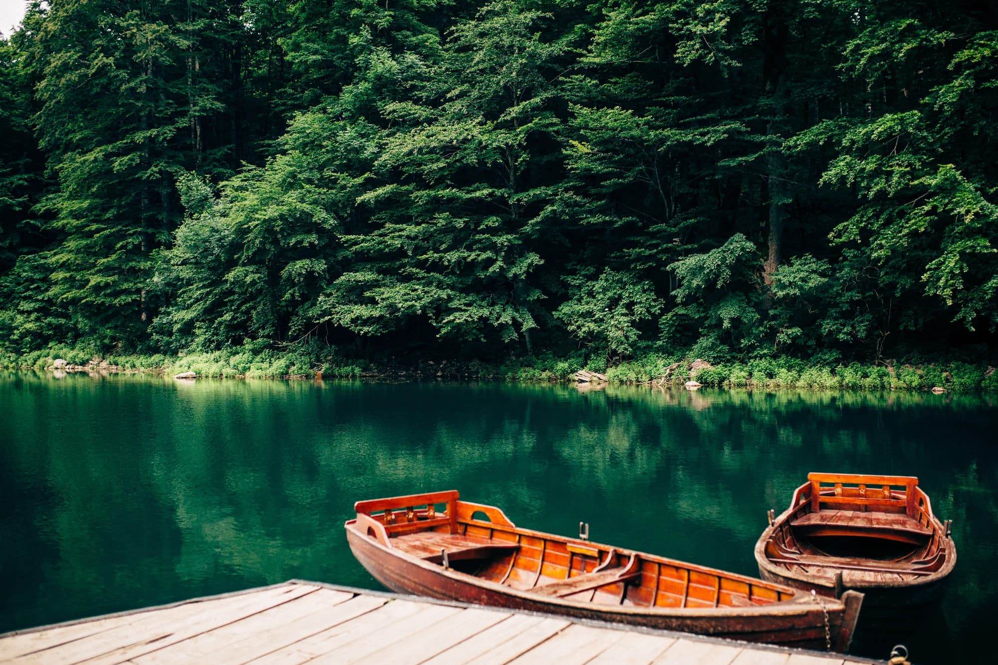 Biogradsko Lake held in the primeval forest