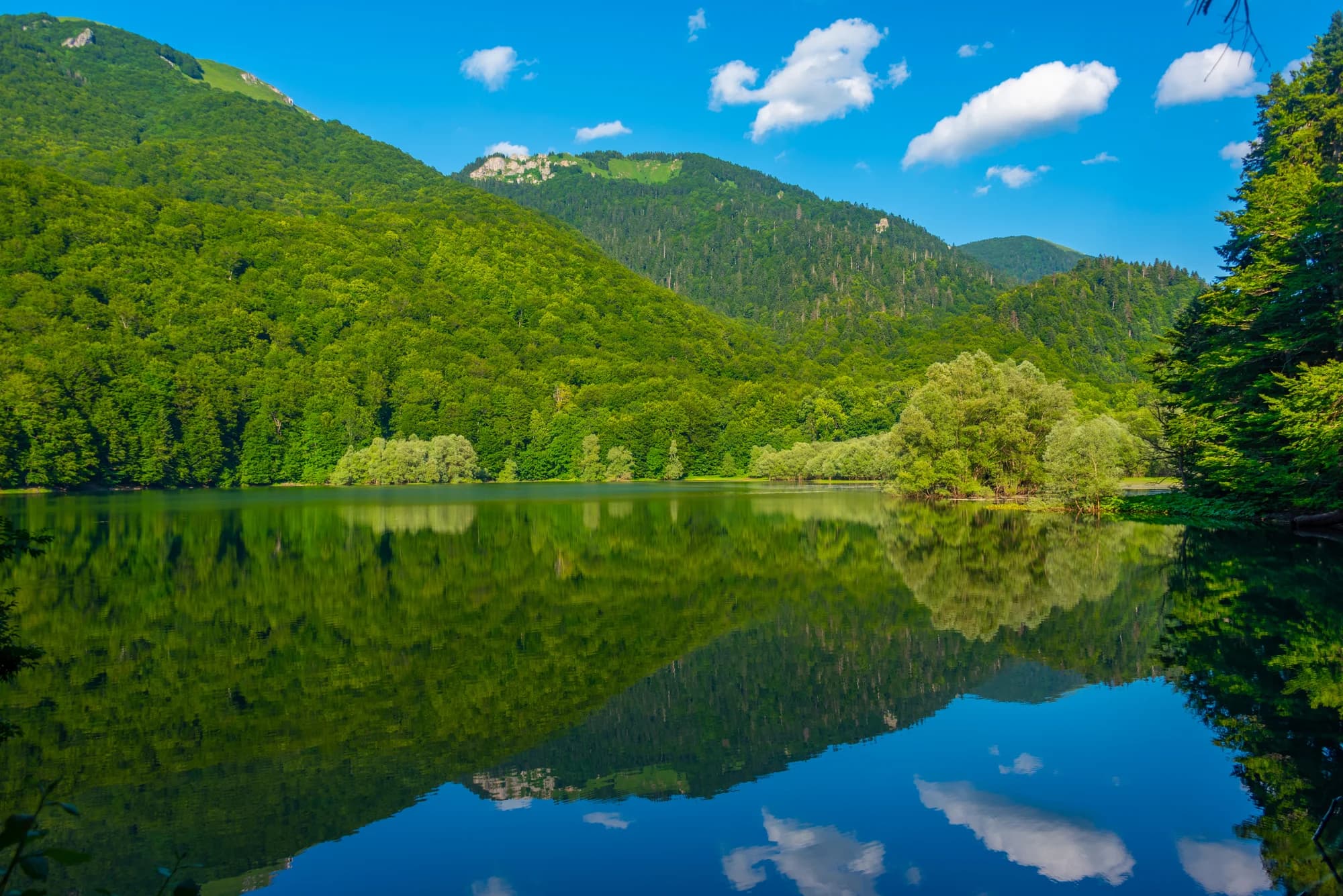 The lakeside path
