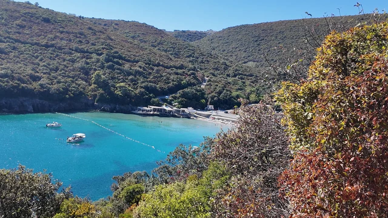 Trsteno cove from the hill: turquoise water inside the buoy line, two boats at anchor, the small sand beach with its beach club and car park under the scrub-covered slopes