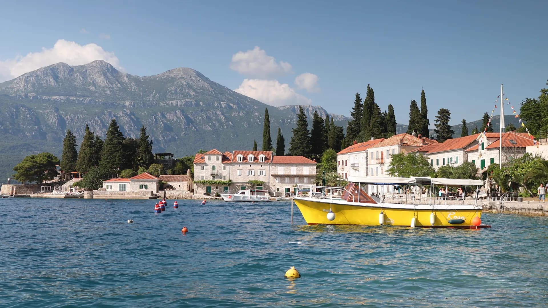 Rose, Montenegro