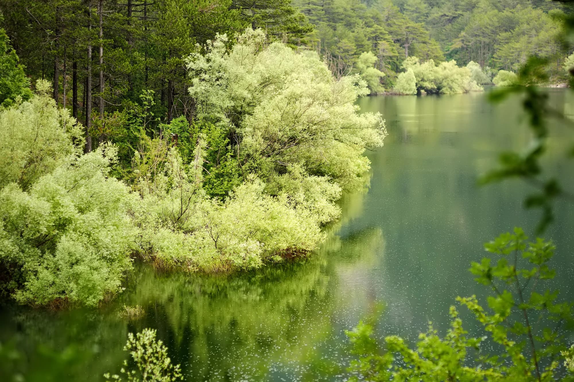 Rudine, Montenegro
