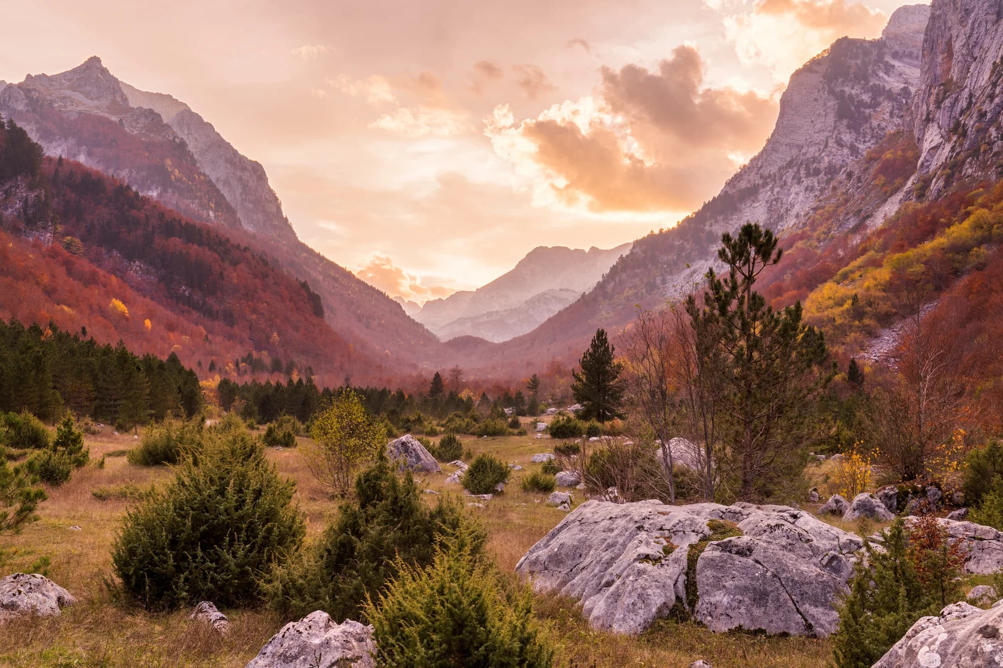 A wide glacial valley floor of grass, juniper and pale boulders between sheer limestone walls at sunset