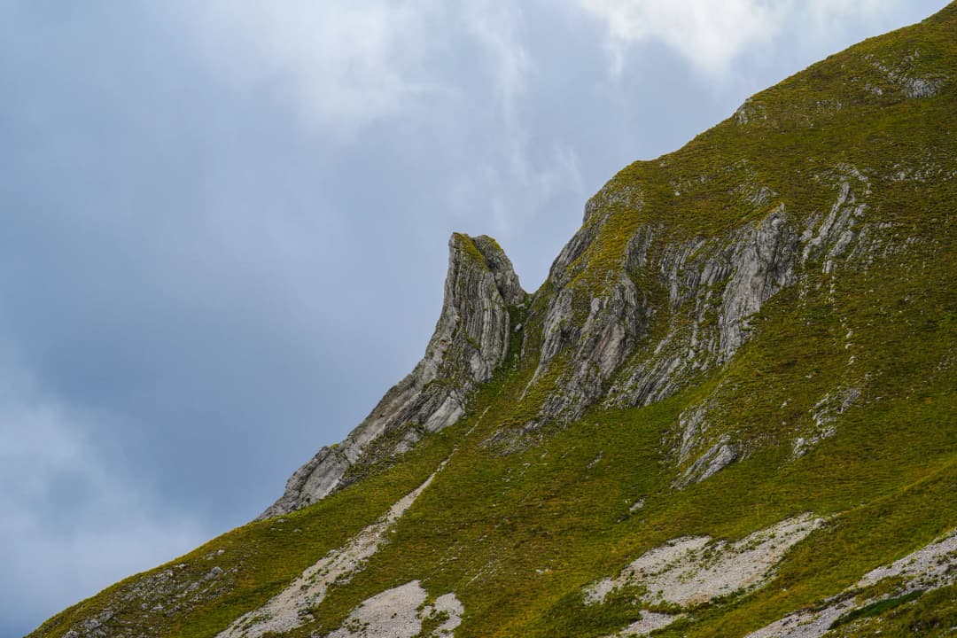 Biogradsko jezero okruženo gustom prašumom, sa ogromnim starim drvećem koje se ogleda u mirnoj vodi