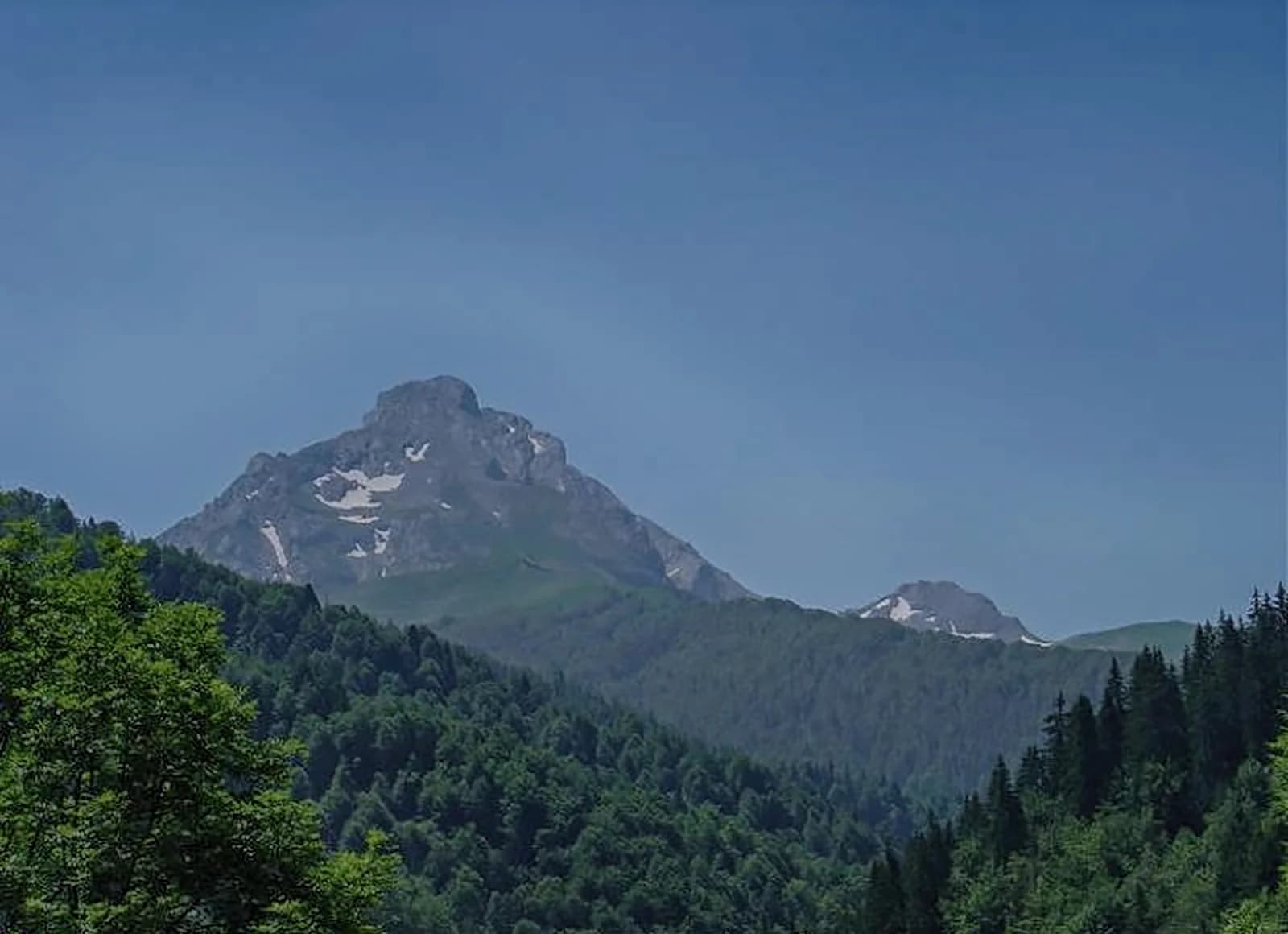 Limestone and grass on the Komovi