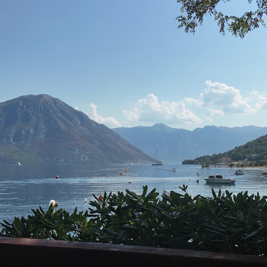 The inner Bay of Kotor from a Morinj terrace, oleander in front and the Perast shore across the water