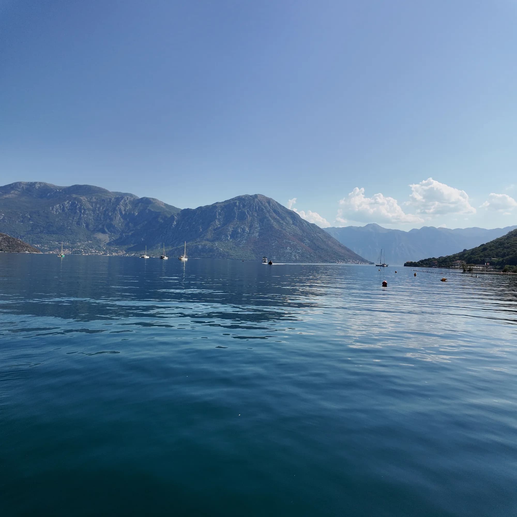 Open water of the bay off Morinj on a still morning, the far shore under a clear sky