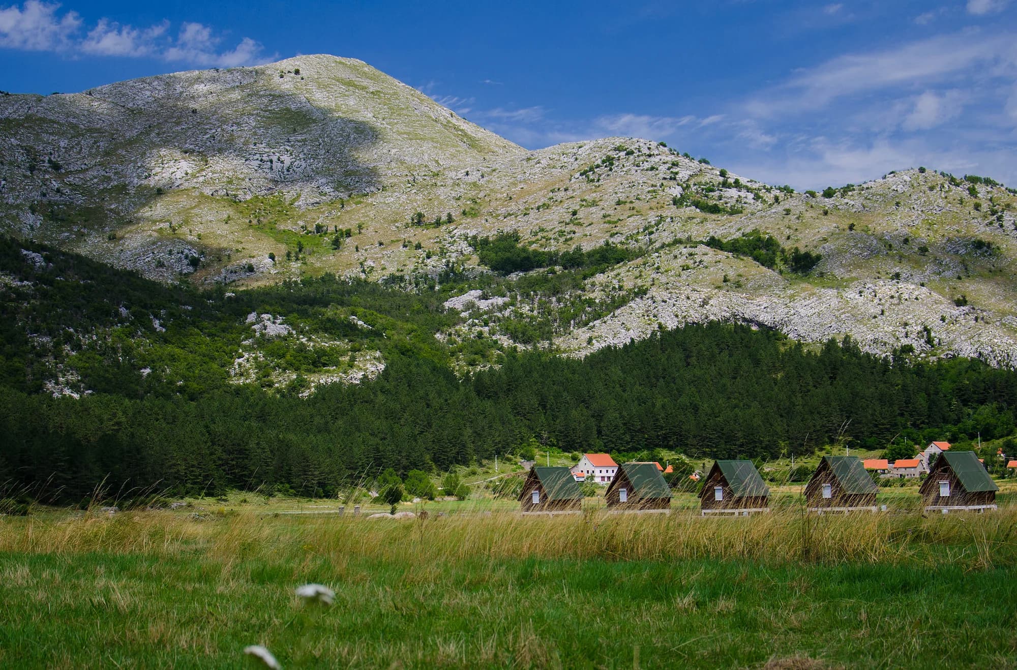 Wooden A-frame cabins in a meadow below the bare limestone slope of Lovćen, village houses and a pine belt behind them