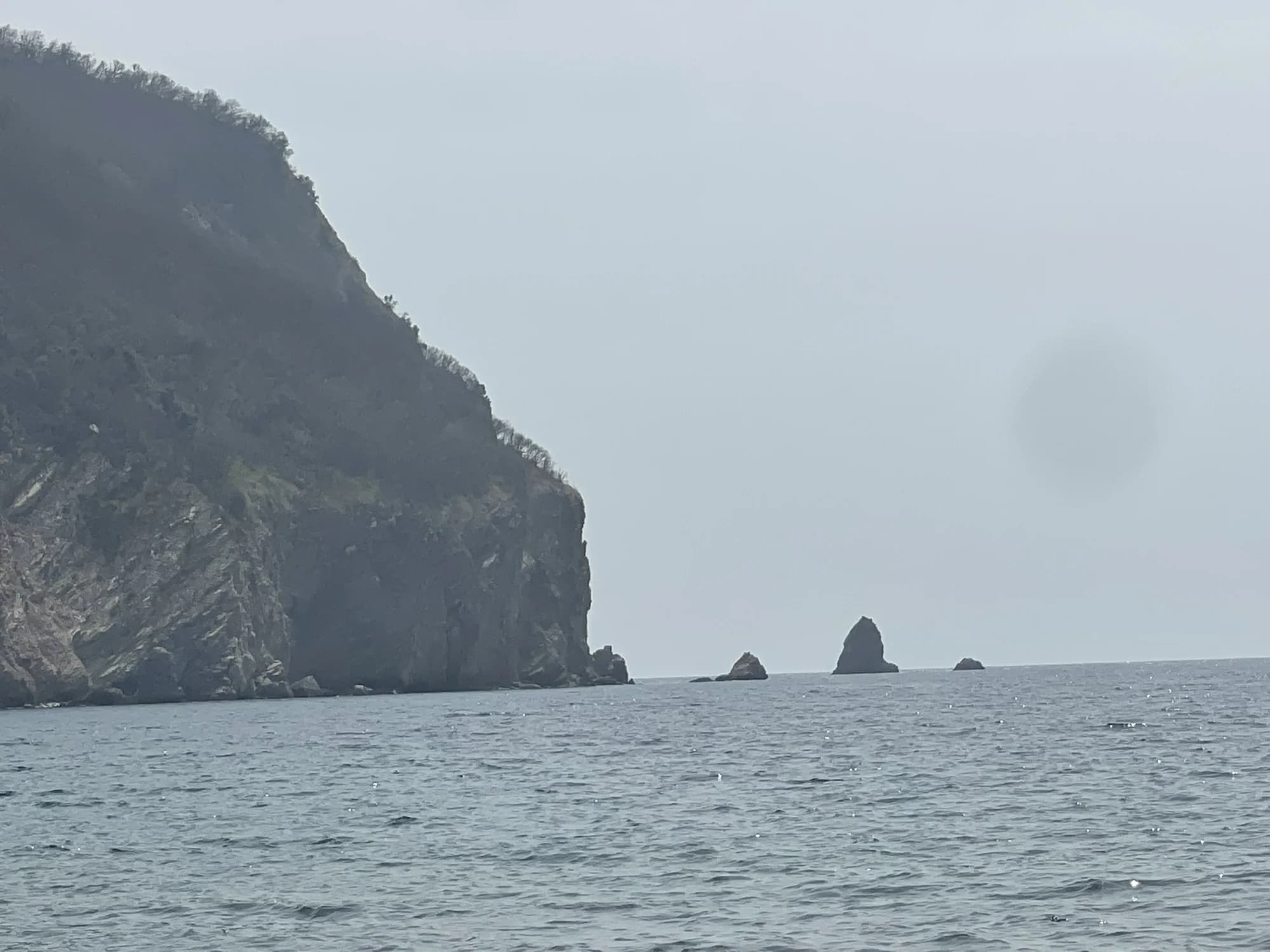 The wooded headland that closes the southern end of Buljarica, a rock stack standing off its point in flat water