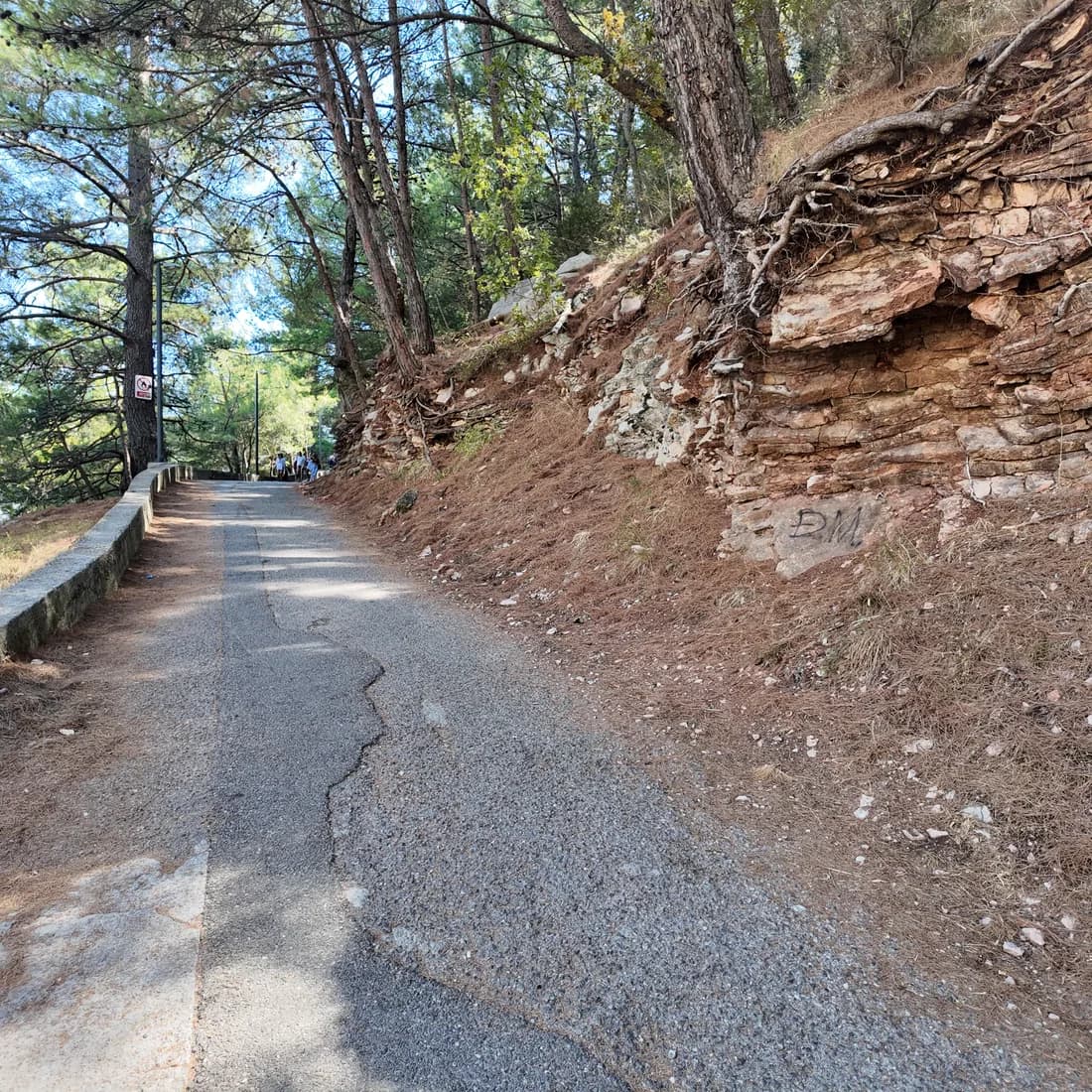 The coastal path through the pines out of Petrovac, the start of the Roman Road walk to Lučice and Buljarica