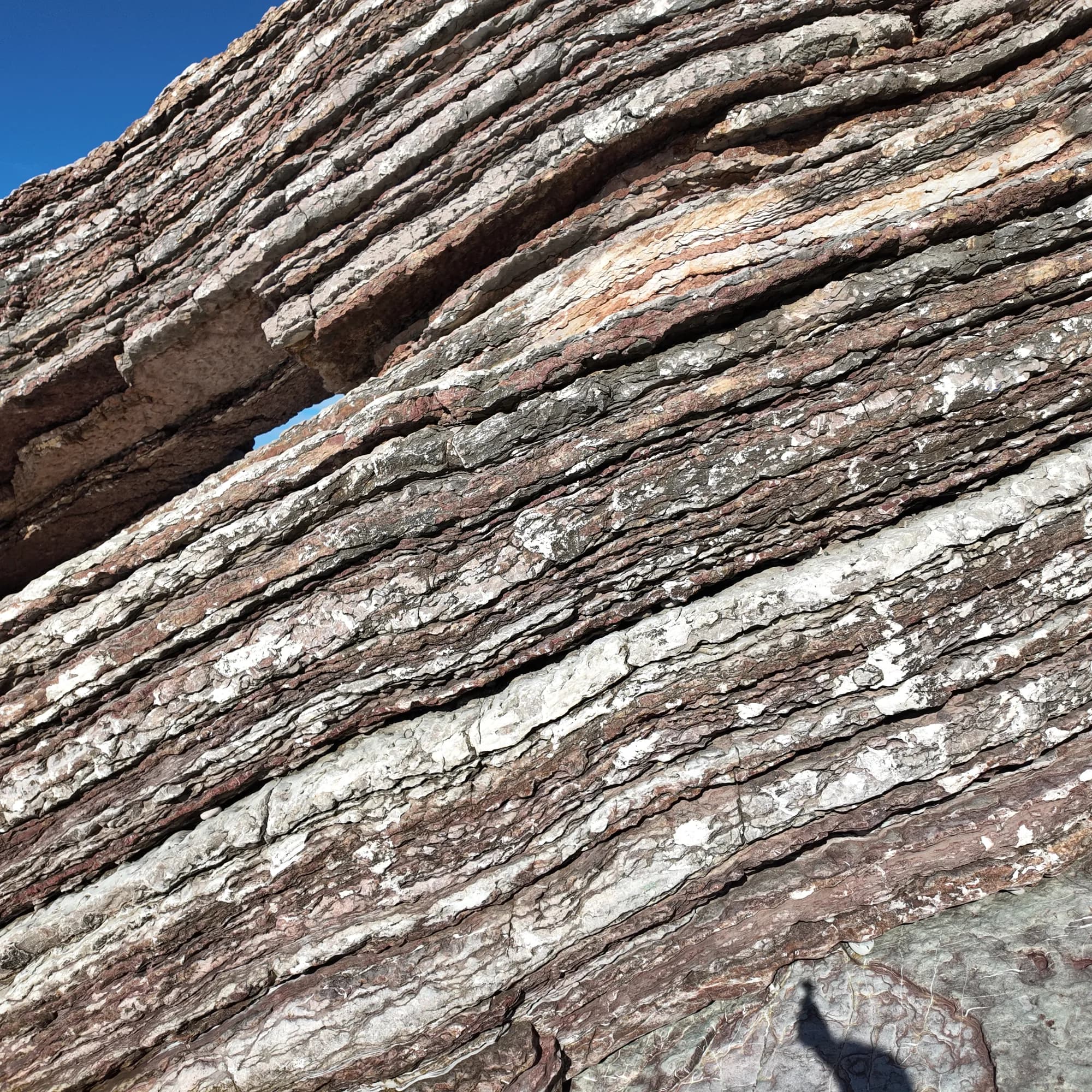 The folded rock strata of Cape Đevištenje at the eastern end of the beach, close up