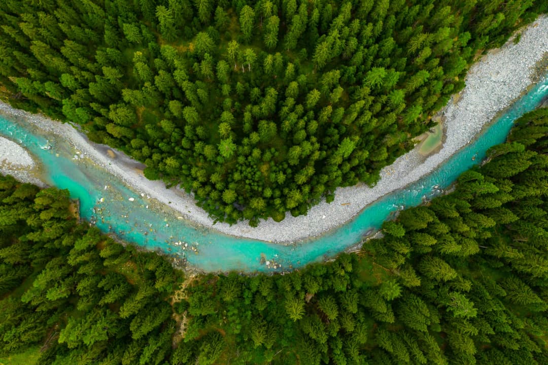 The Tara River canyon, with the river running far below steep forested walls near Đurđevića Tara.