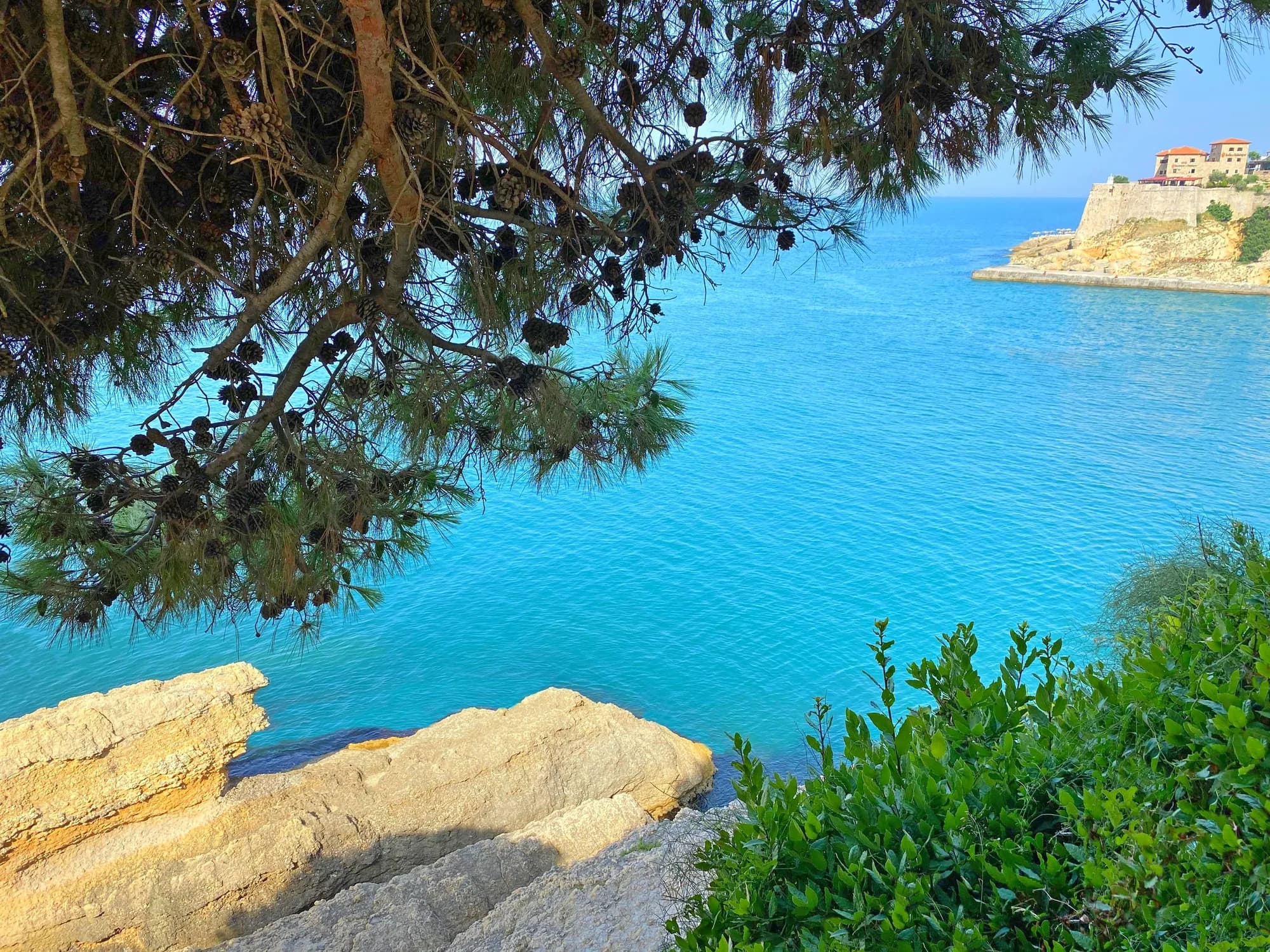 Pinješ Pines