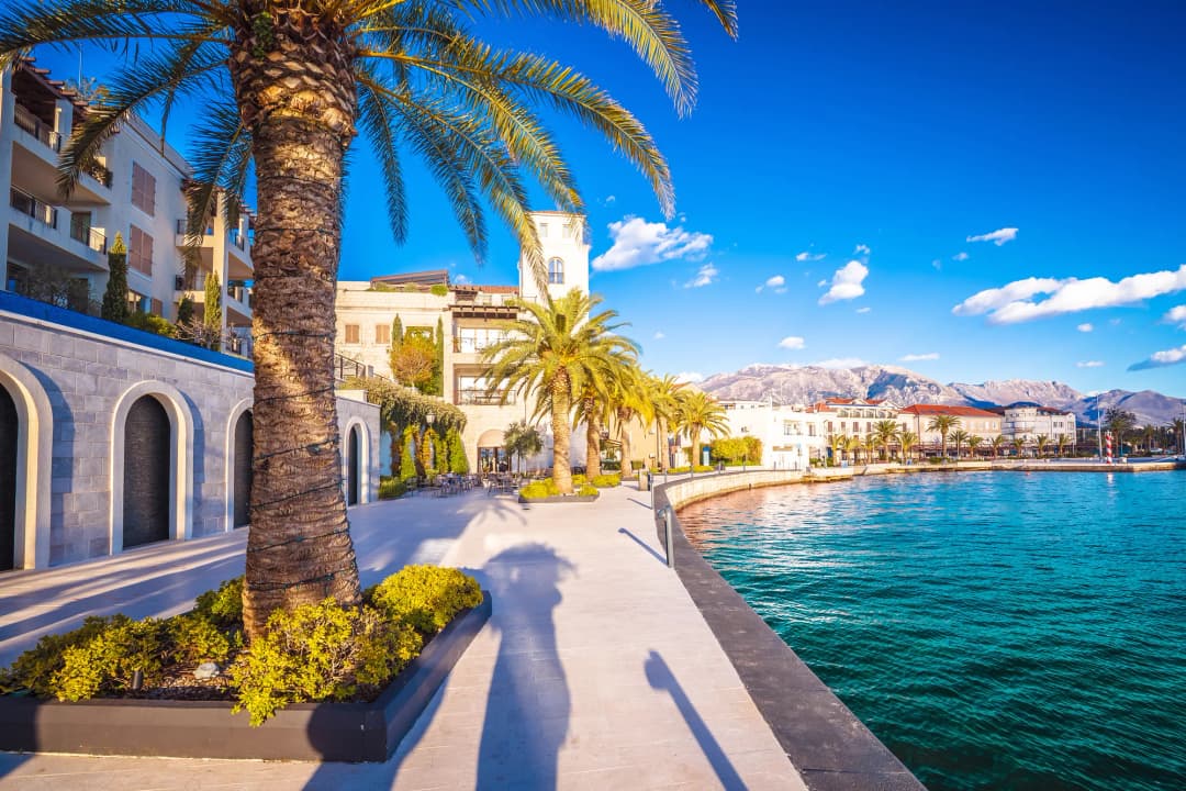 The tree-lined Pine promenade in Tivat, with pines shading the paved seafront walkway alongside the bay.