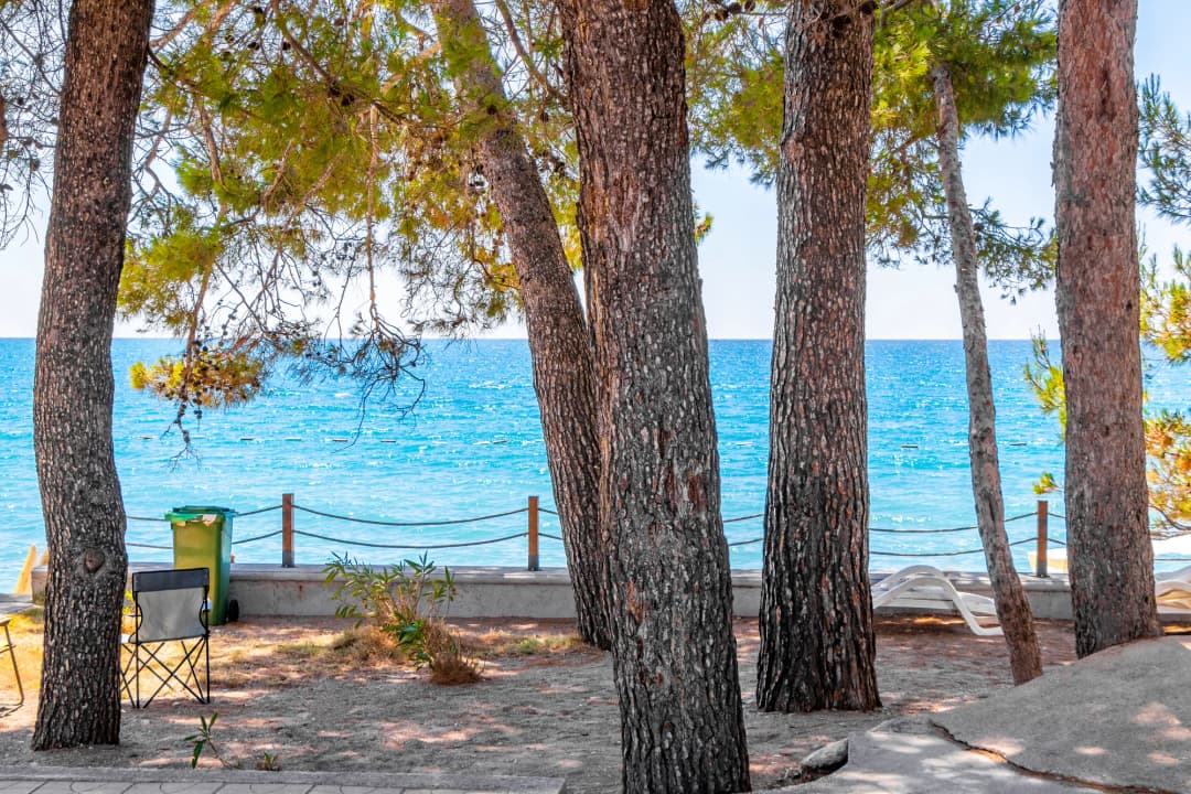 Pine trunks framing the turquoise sea on the Bar shore promenade