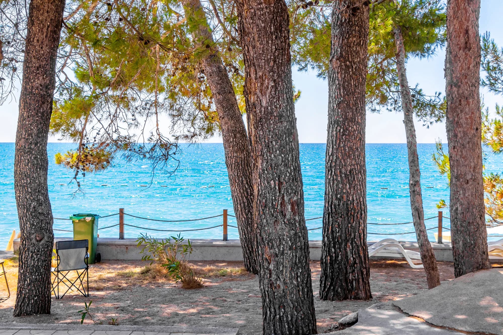 Žukotrlica Beach 2026: Water Results, Pines and History