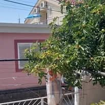 Sobe za iznajmljivanje - Sutomore Vila Ljubica fotografija 8