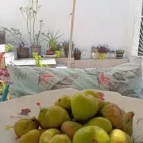 Sobe za iznajmljivanje - Sutomore Vila Ljubica fotografija 13