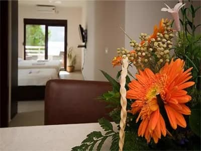 Apartmani Twins fotografija 9