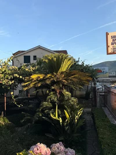 Apartmani Matijašević - Igalo fotografija 17
