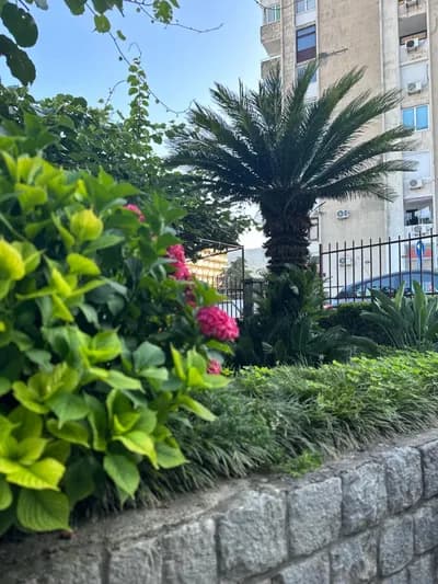 Apartmani Matijašević - Igalo fotografija 18