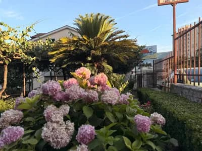 Apartmani Matijašević - Igalo fotografija 52