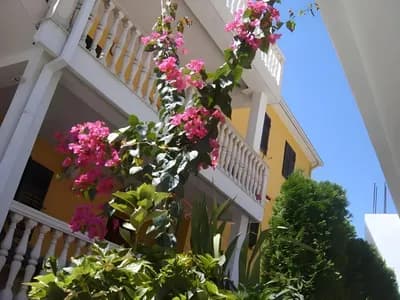 Apartmani Kovačević fotografija 2