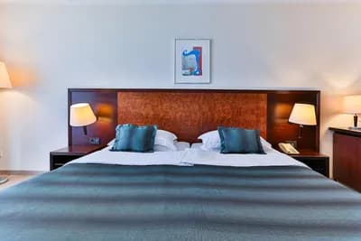 Hotel Princeza - Plažni i Konferencijski Rezort u Baru fotografija 11