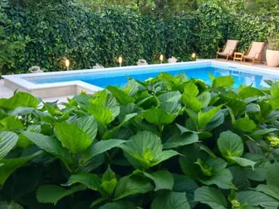 Pean Apartmani - Tivat fotografija 12