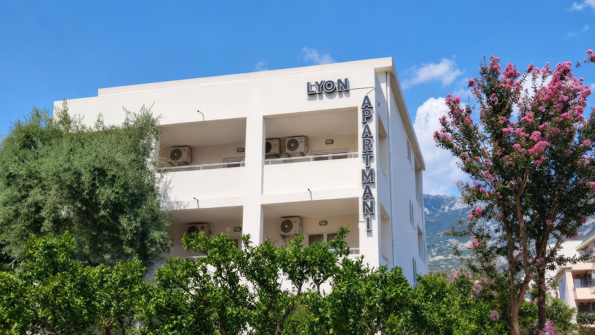 The white Lyon Apartmani building in Budva, with its rooftop sign, flowering trees and the mountains behind
