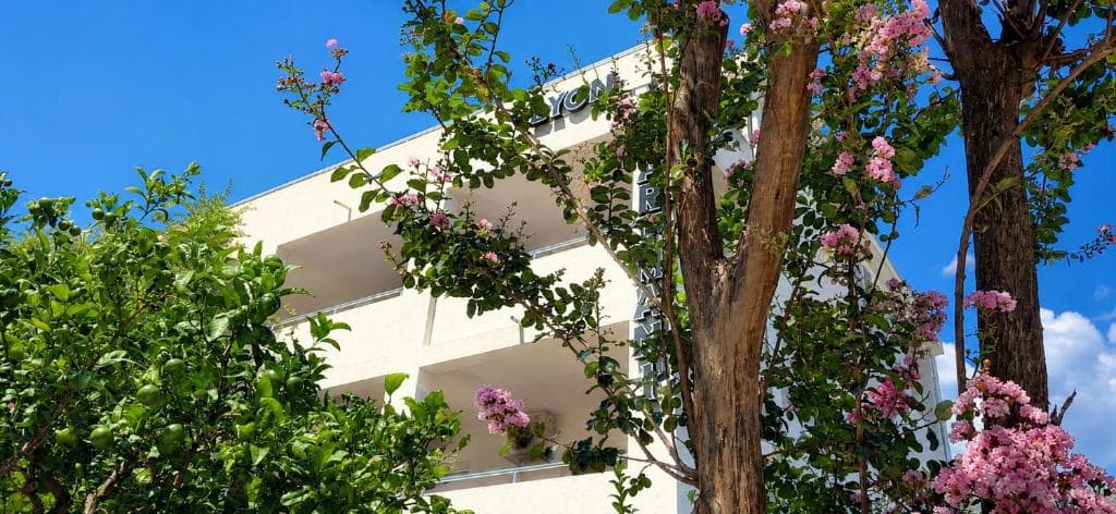 Facade of Lyon Apartmani Budva through flowering trees