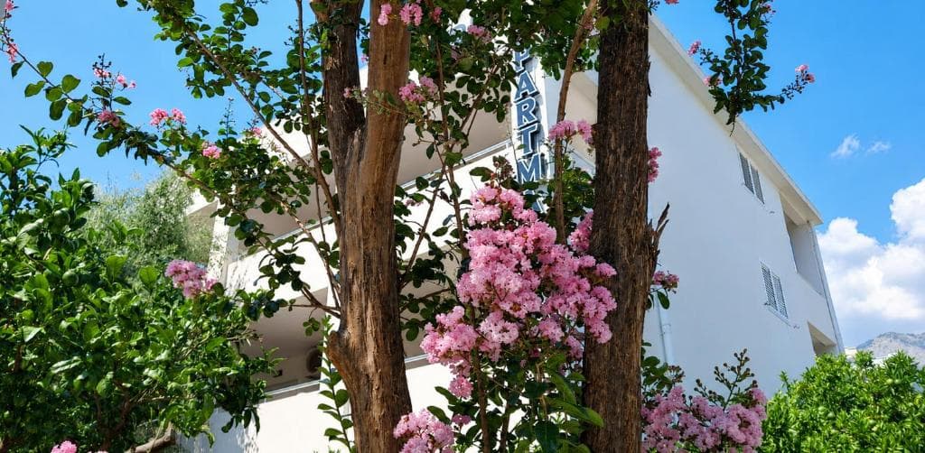 Pink crape myrtle blossoms in front of Lyon Apartmani Budva