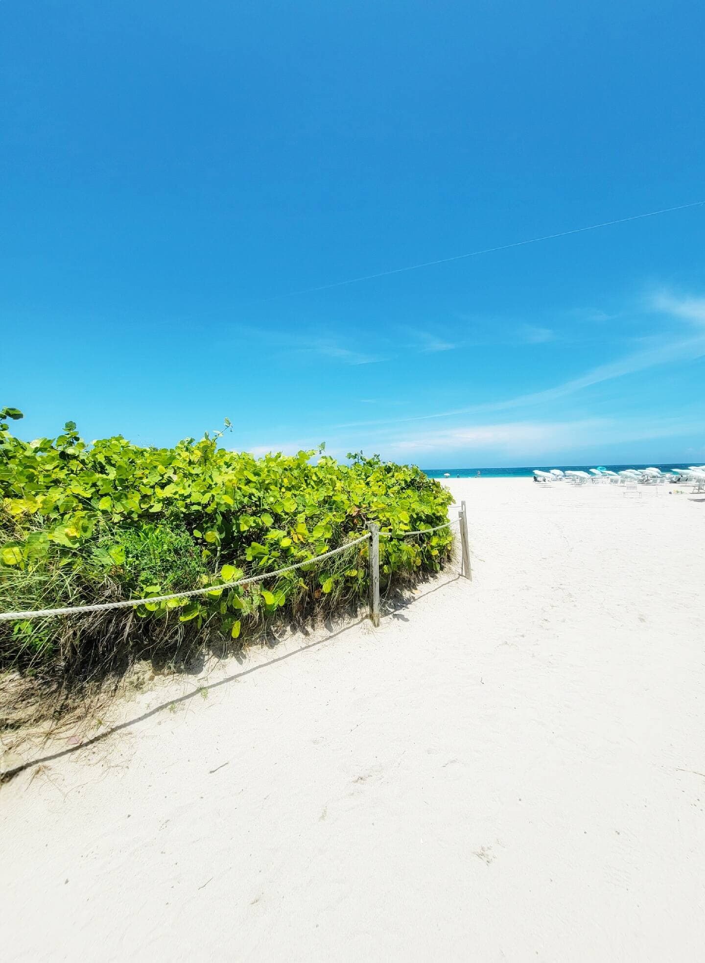 Sandy path through the sea-grape dunes from the garden to the beach